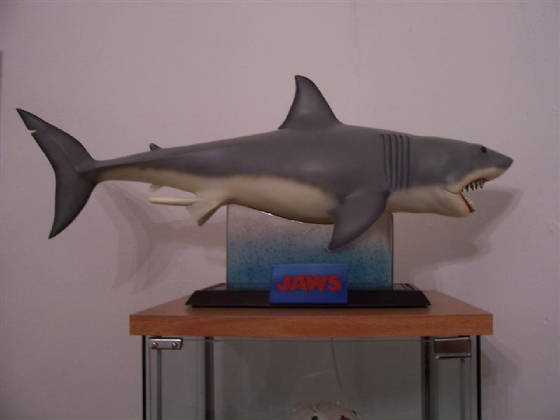 shark2.jpg